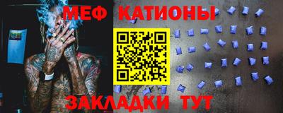 индика Камышлов
