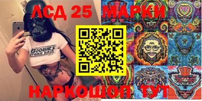 индика Камышлов