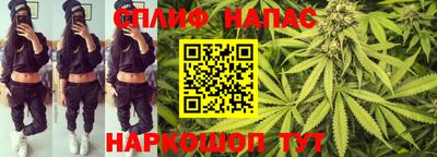 индика Камышлов