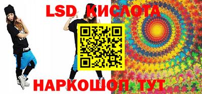 индика Камышлов