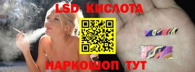 индика Камышлов