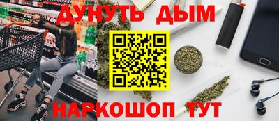 индика Камышлов