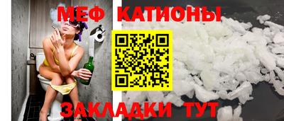 индика Камышлов