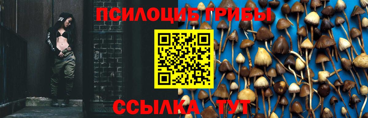 Озёрск  Псилоцибиновые грибы Psilocybine cubensis  Вход с VPN 